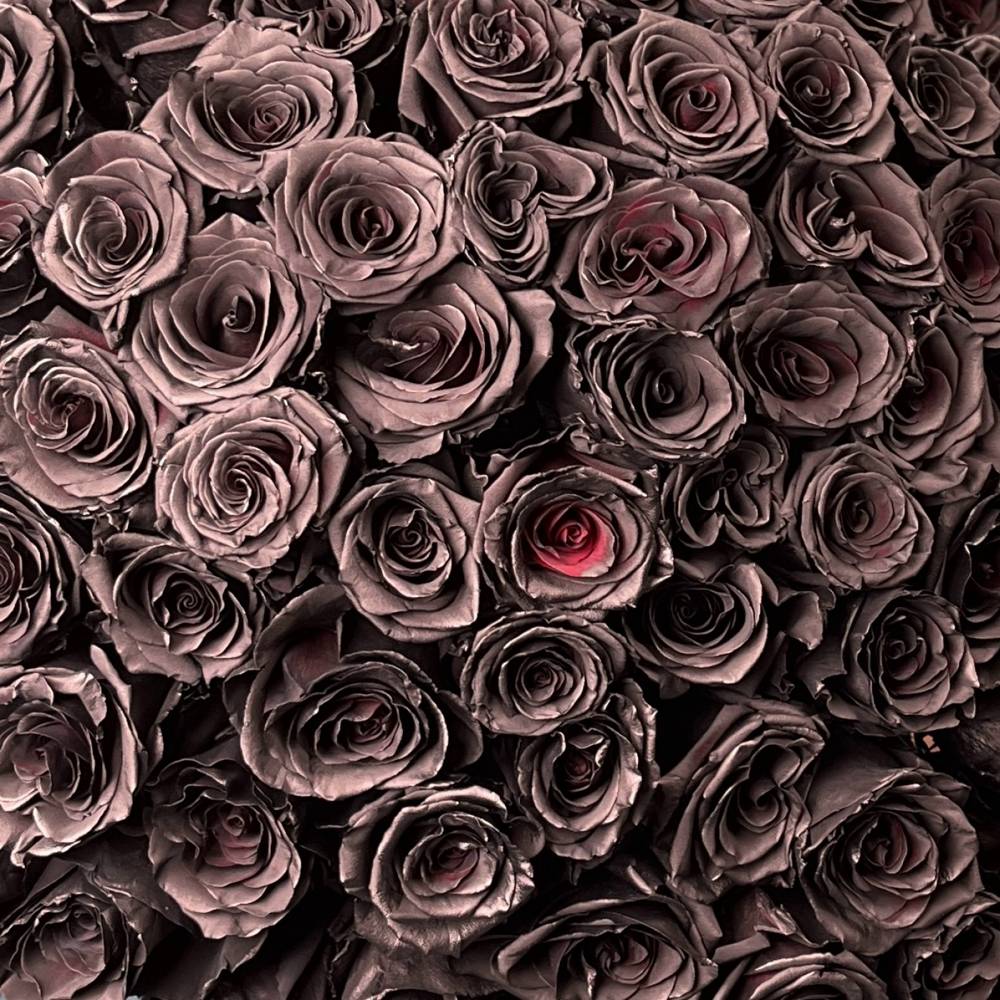 Букет из 101 черной розы Эквадор
