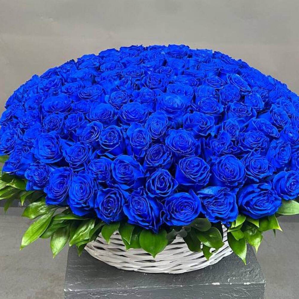 Корзина из 101 синей розы Эквадор
