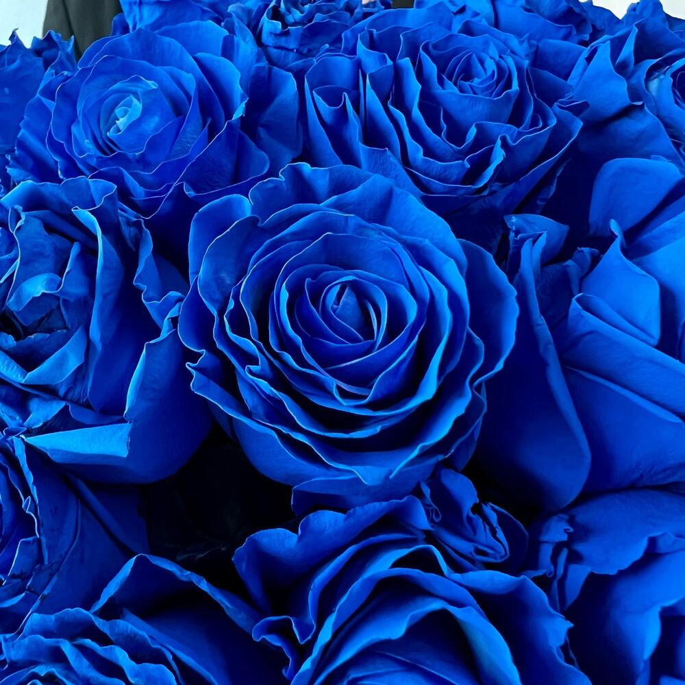 Букет из 201 синей и белой розы в коробке