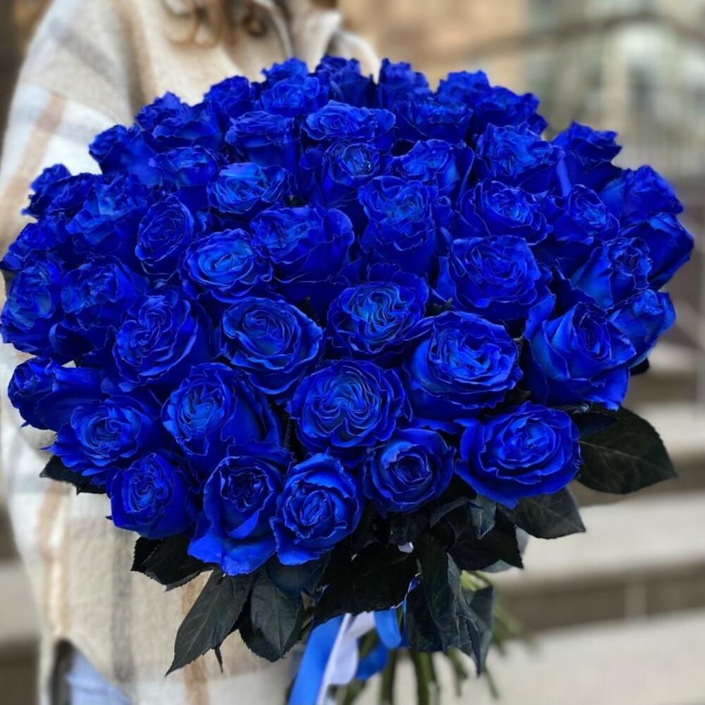 51 синяя роза Эквадор