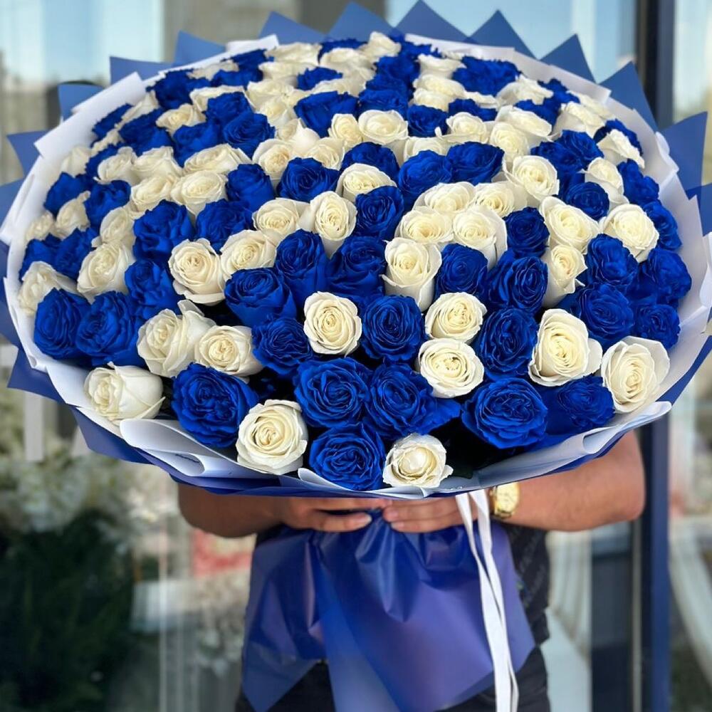 Букет из 151 синей и белой розы Эквадор