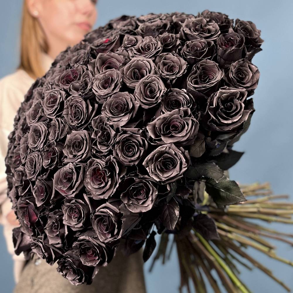 Букет из 101 черной розы Эквадор