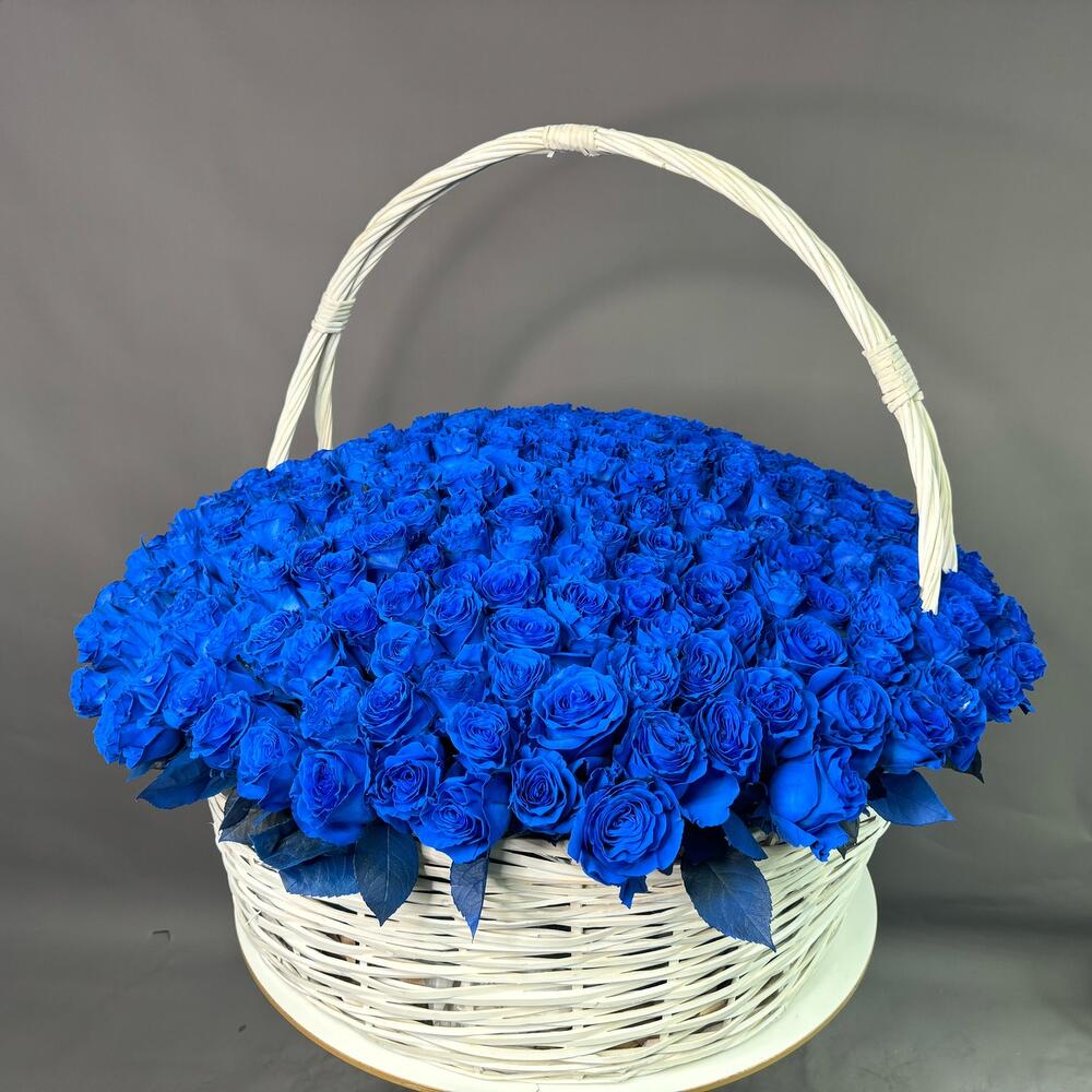 Корзина из 301 синей розы Эквадор