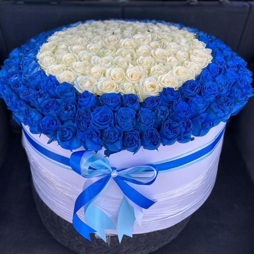 Букет из 201 синей и белой розы в коробке