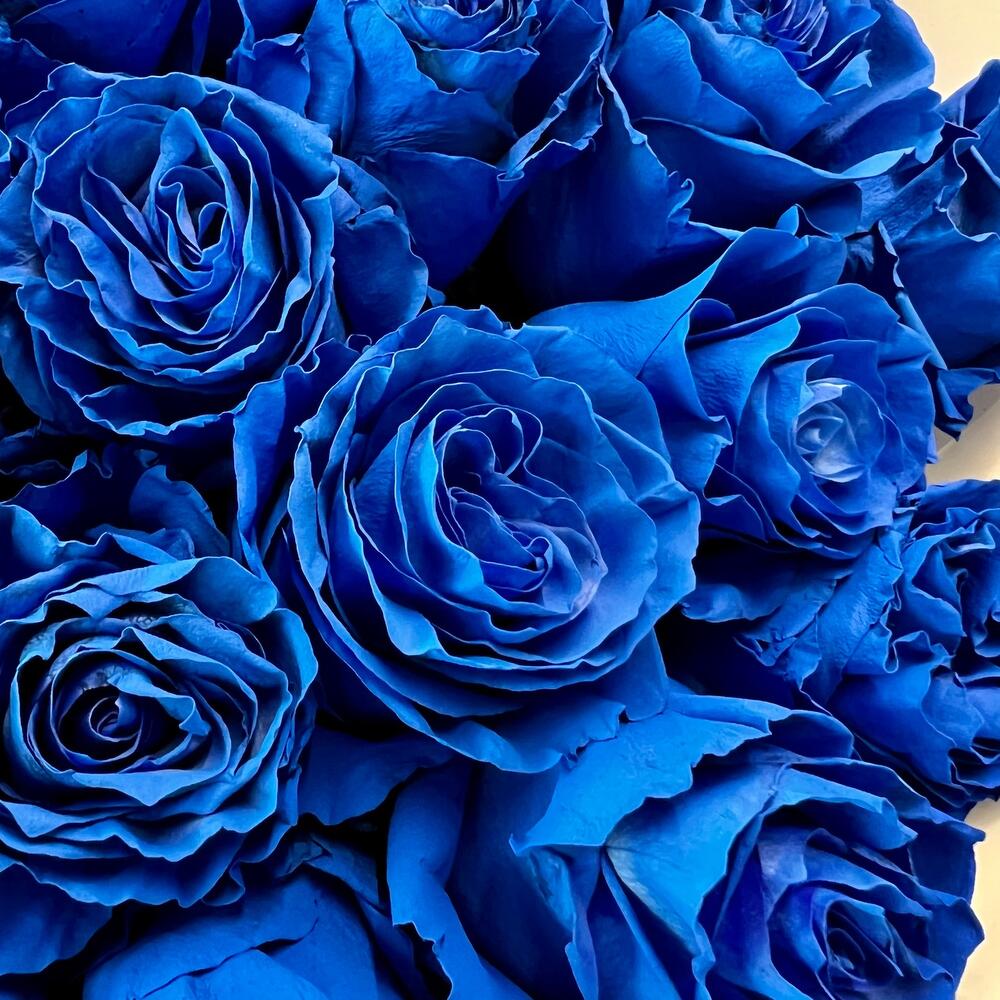 35 синих роз Эквадор