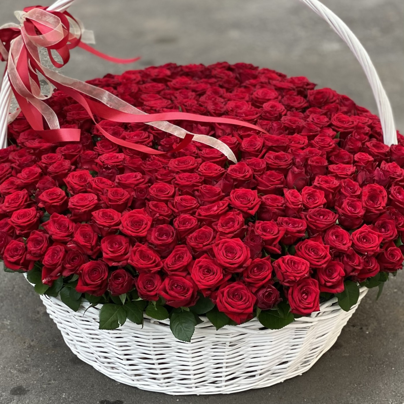301 красная роза в корзине