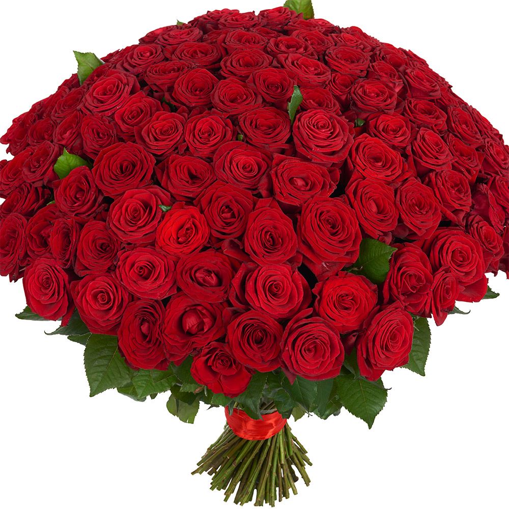 Букет из 151 красной розы 60 см.