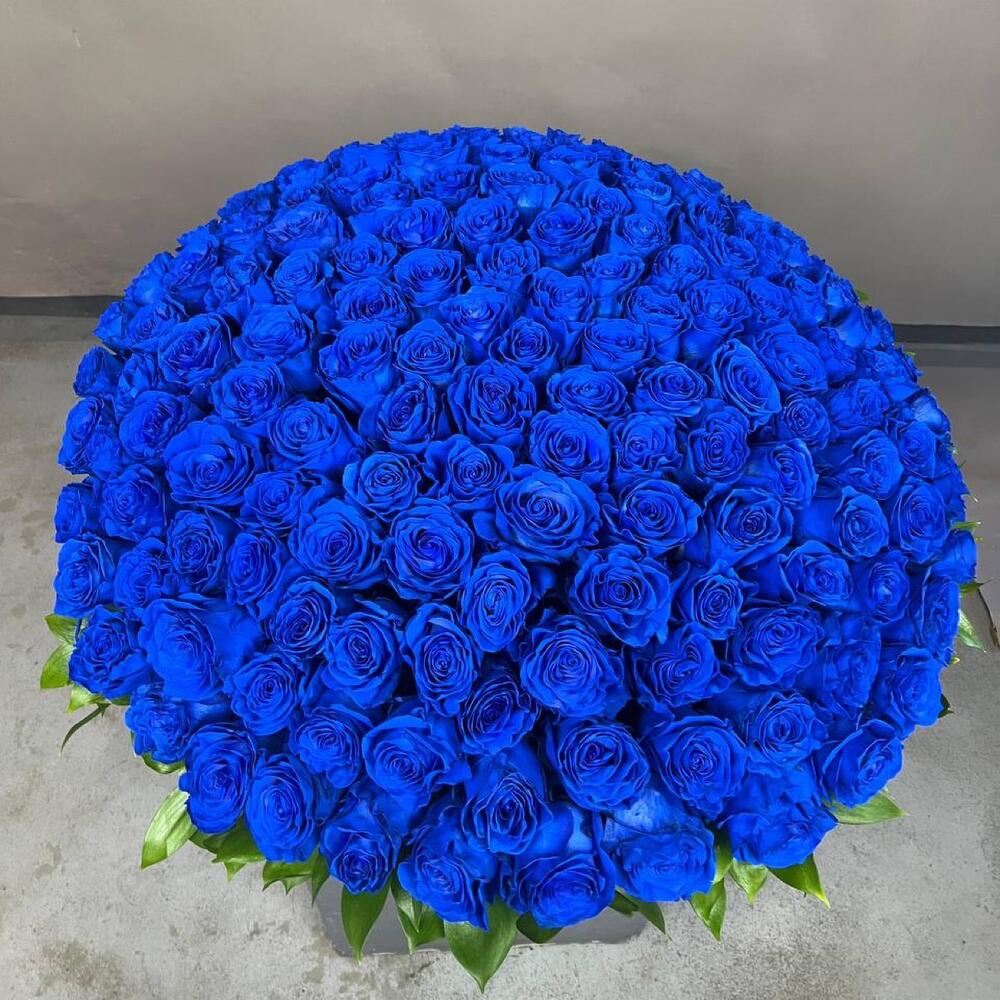 Корзина из 101 синей розы Эквадор