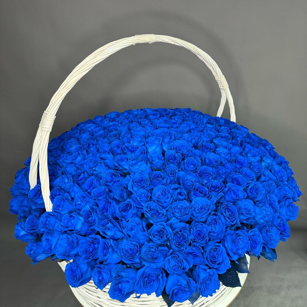Корзина из 301 синей розы Эквадор
