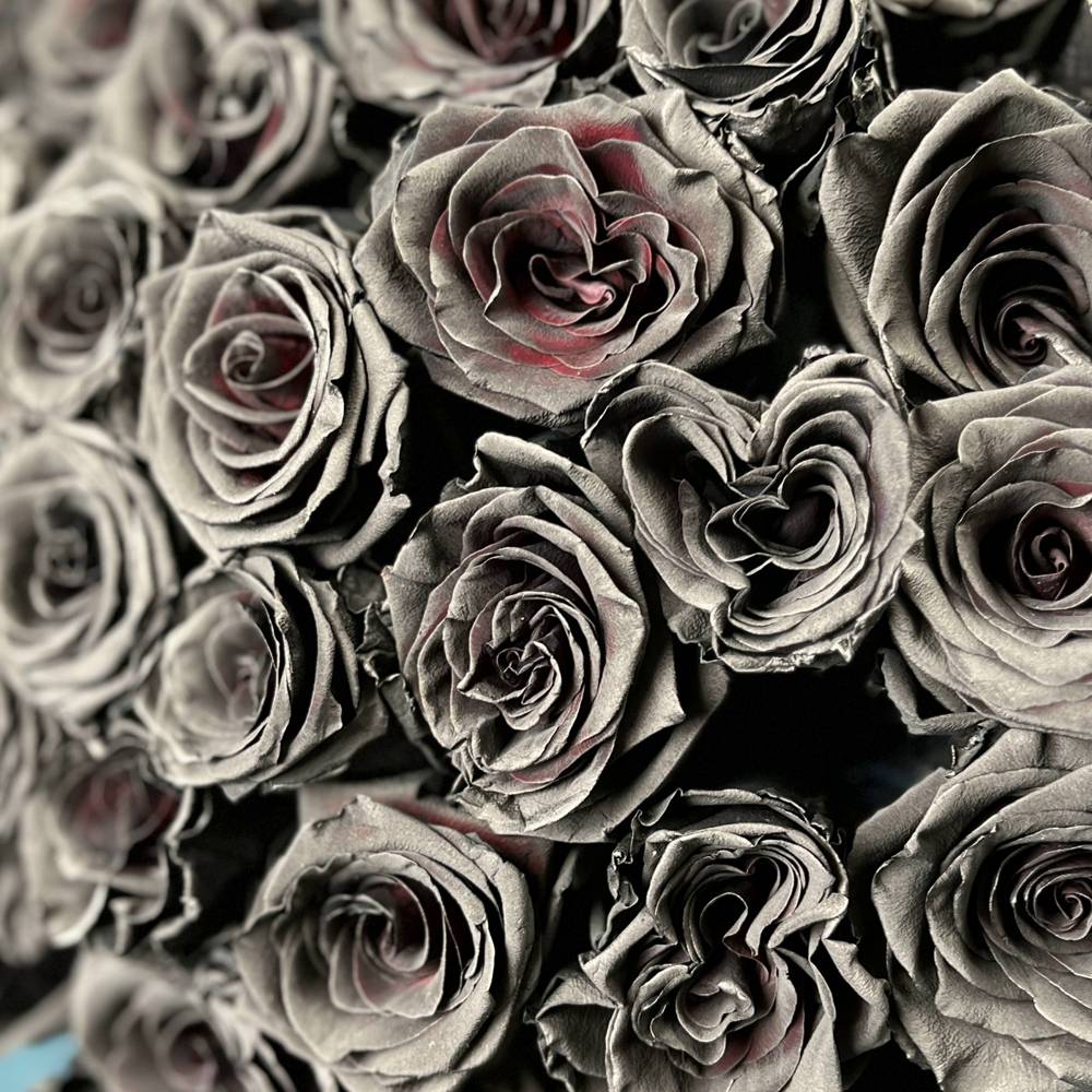 Букет из 51 черной розы Эквадор