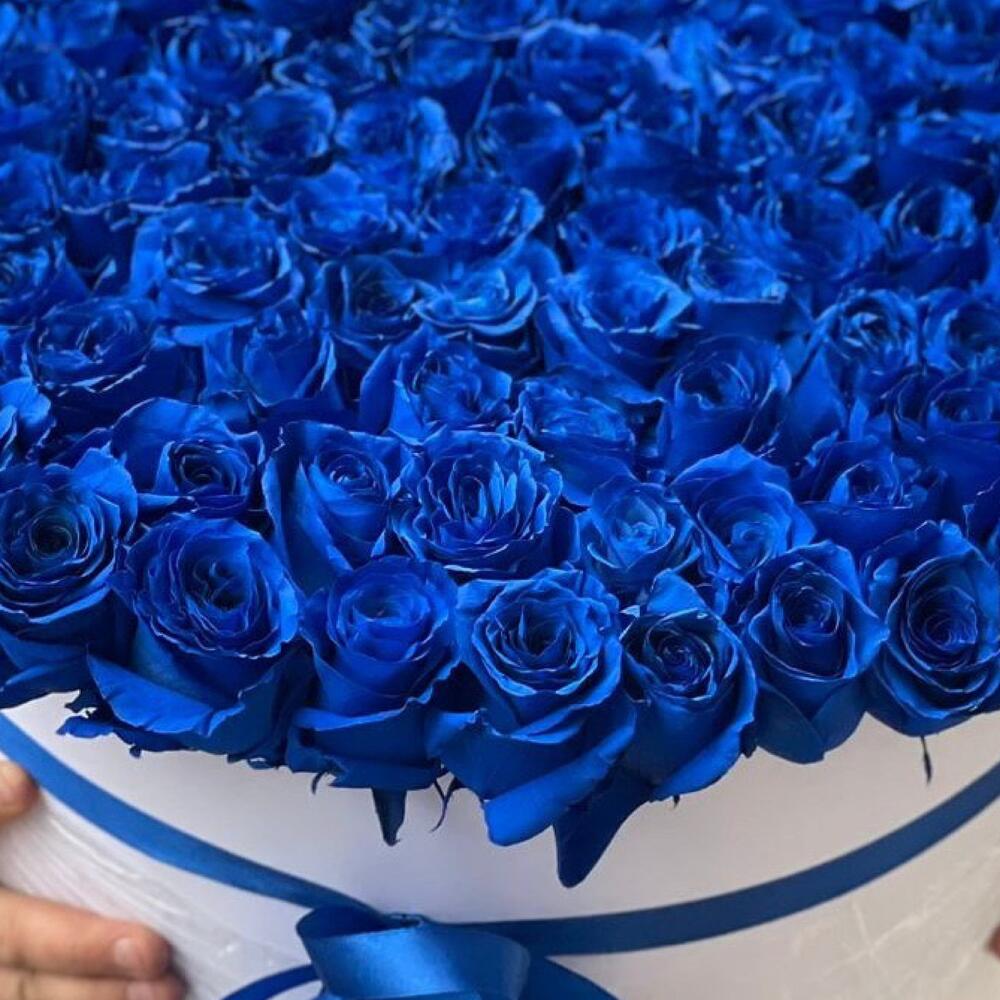 Букет из 101 синей розы в коробке