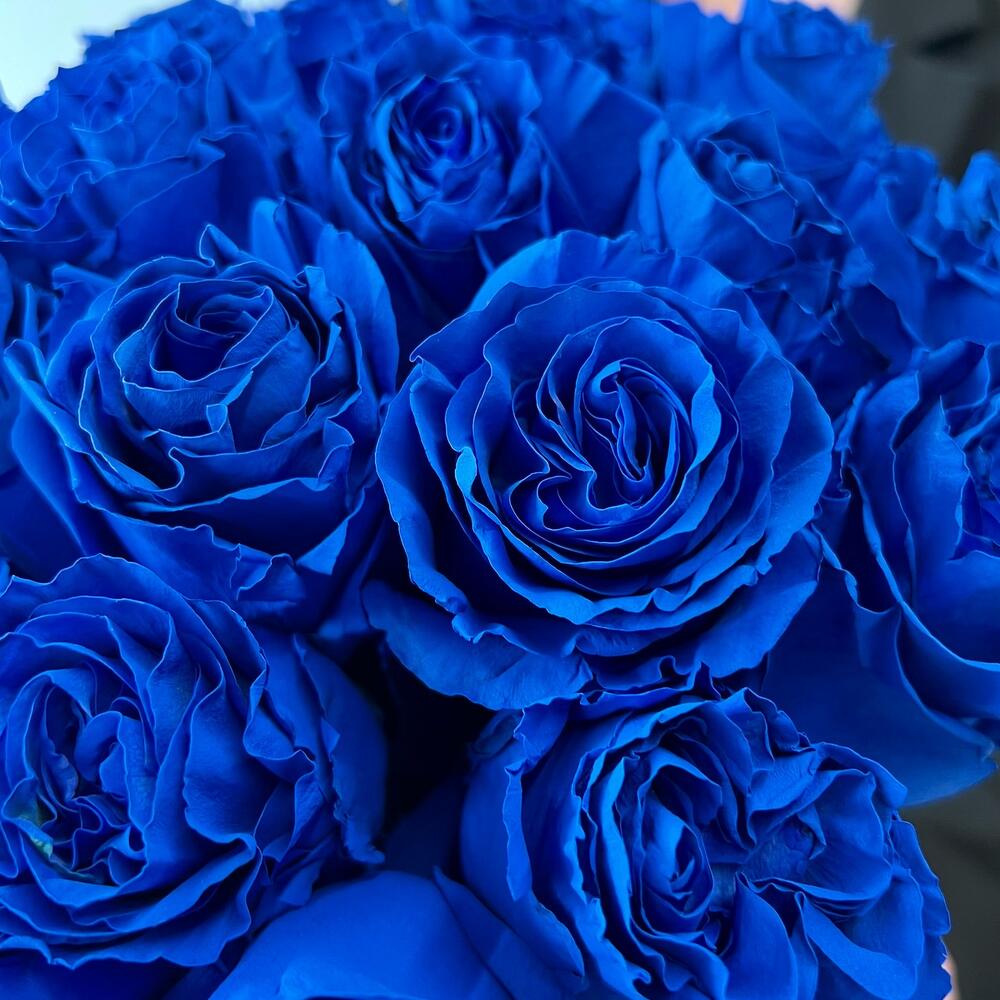 Букет из 101 синей розы в коробке