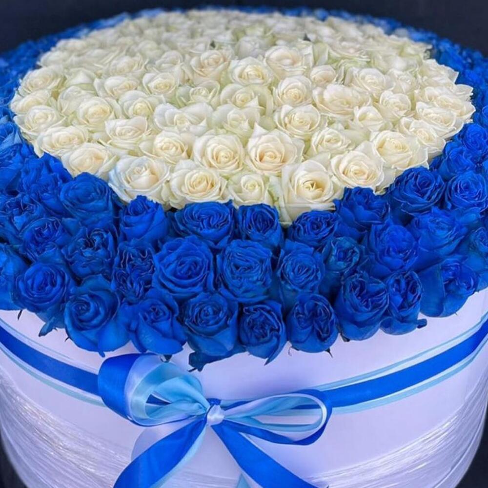 Букет из 201 синей и белой розы в коробке