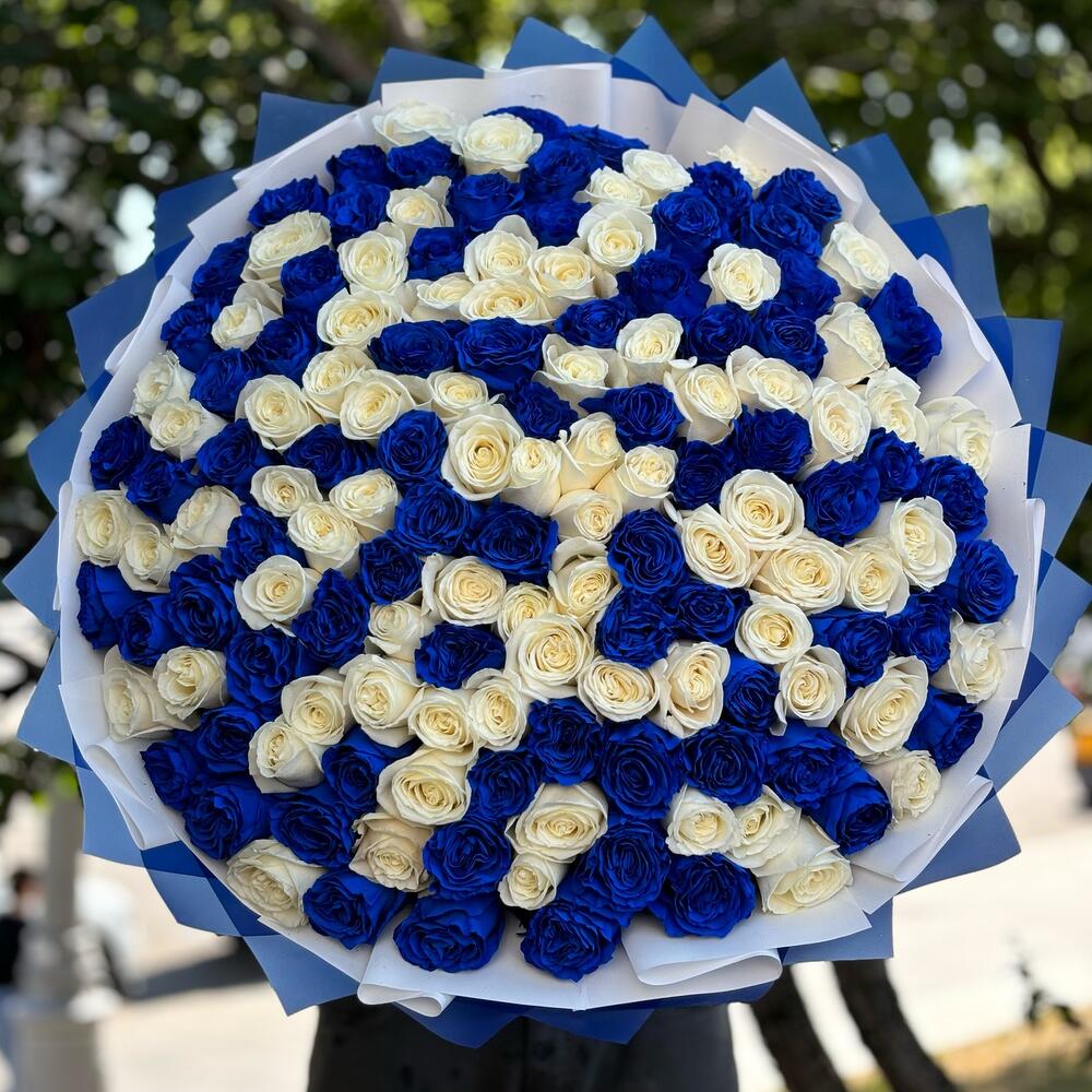Букет из 151 синей и белой розы Эквадор