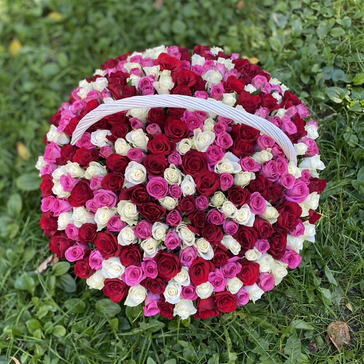 301 роза МИКС в корзине