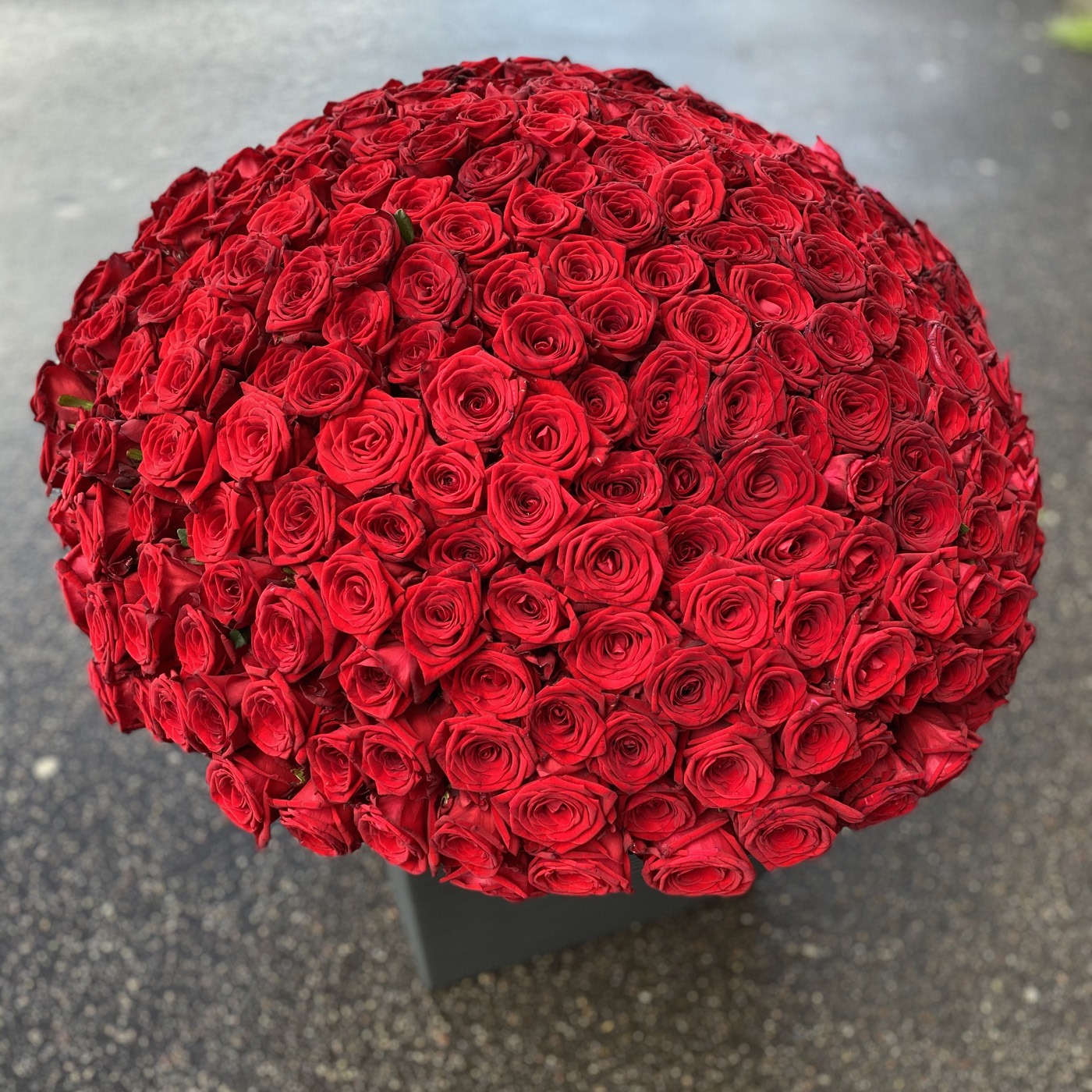 301 красная роза 60 см.