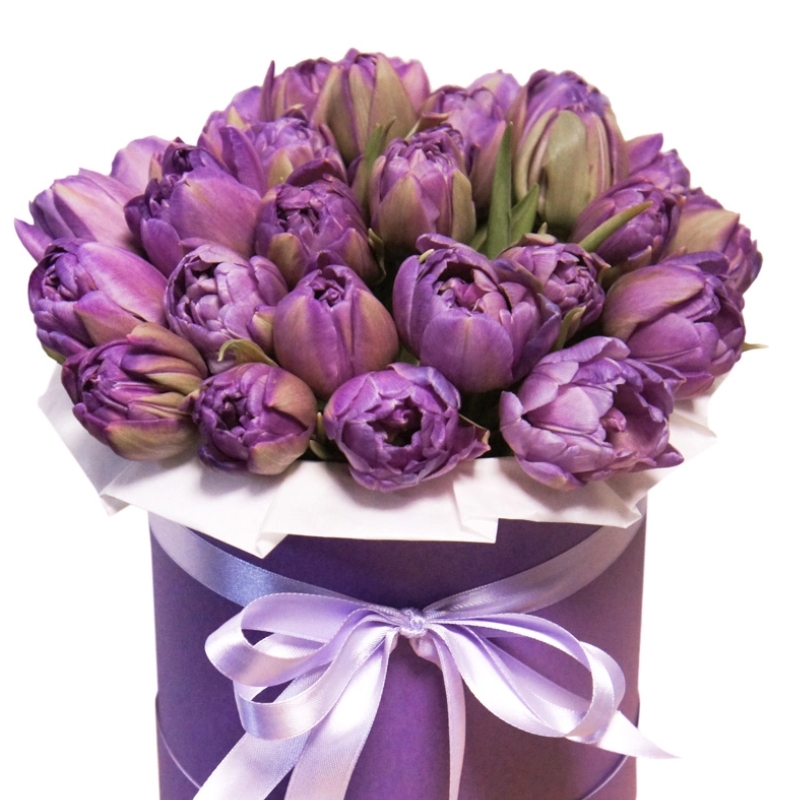 Купить тюльпаны в улан удэ. Букет фиолетовых пионовидных тюльпанов. Фиолетовые тюльпаны букет. Букет в фиолетовой коробке. Фиолетовые тюльпаны в коробке.