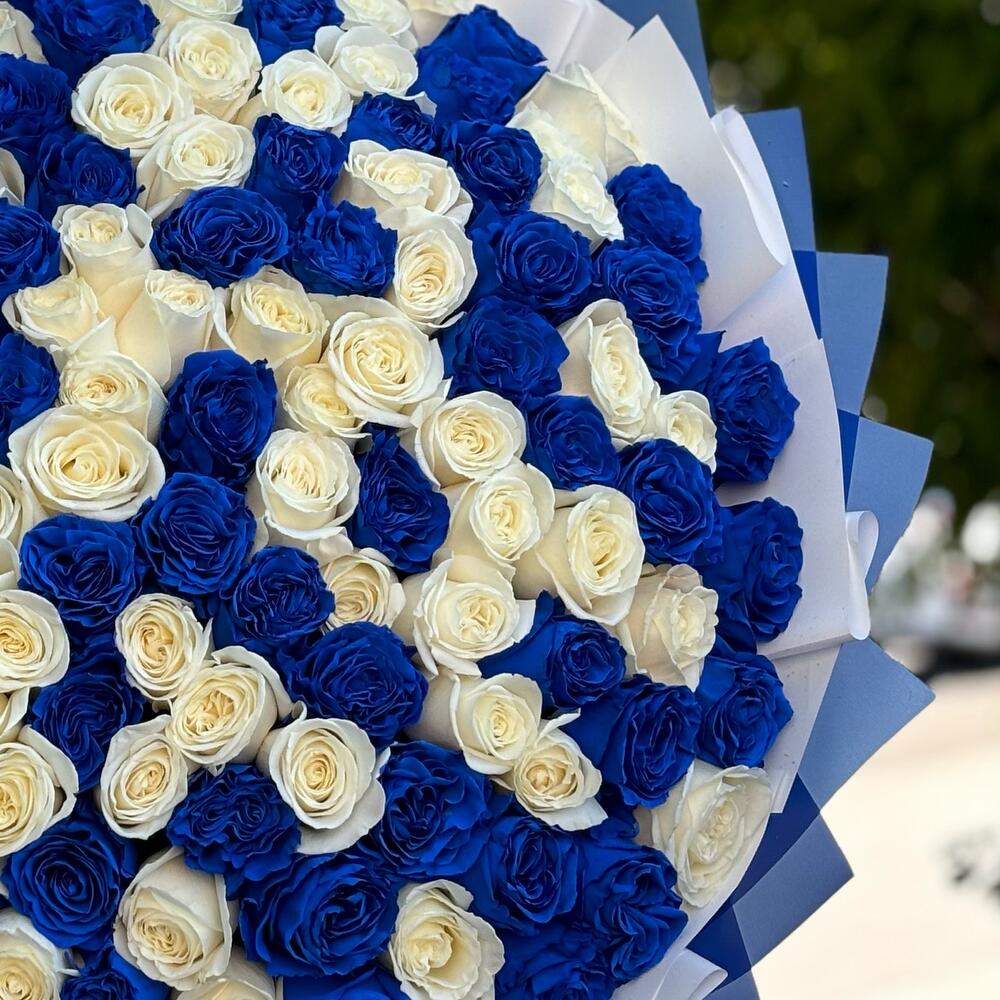 Букет из 151 синей и белой розы Эквадор