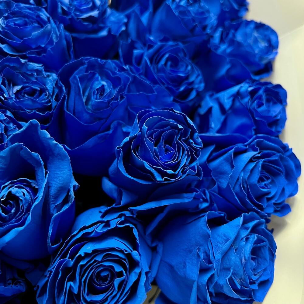 51 синяя роза Эквадор