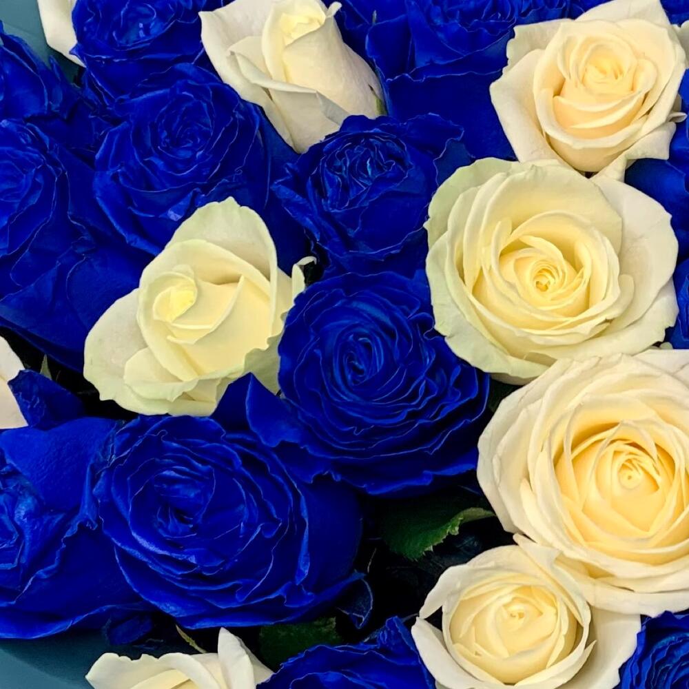 Букет из 51 синей и белой розы Эквадор