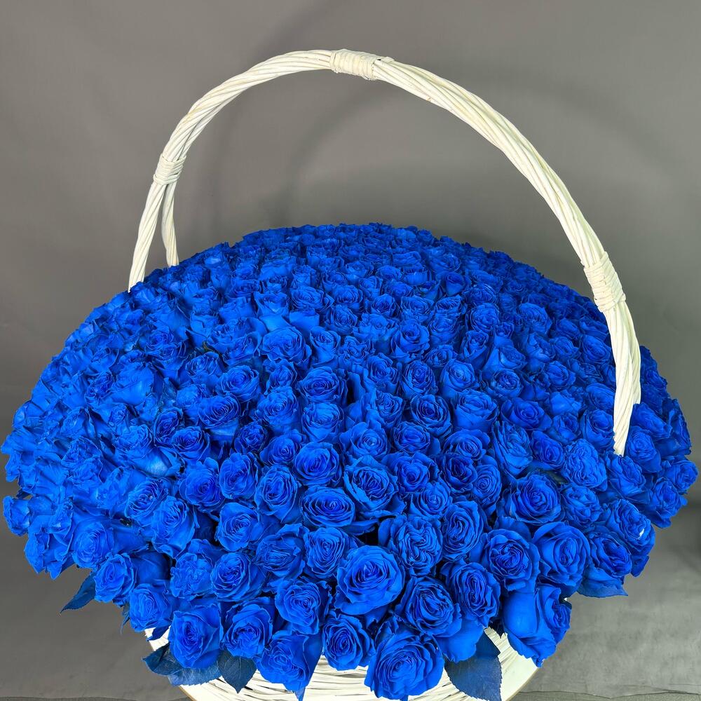 Корзина из 301 синей розы Эквадор