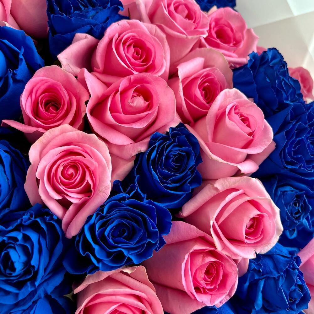 Букет из 101 синей и розовой розы Эквадор