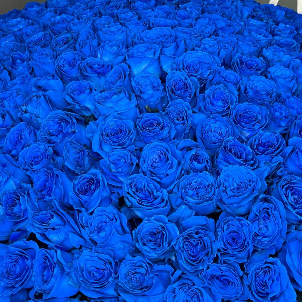 Корзина из 301 синей розы Эквадор