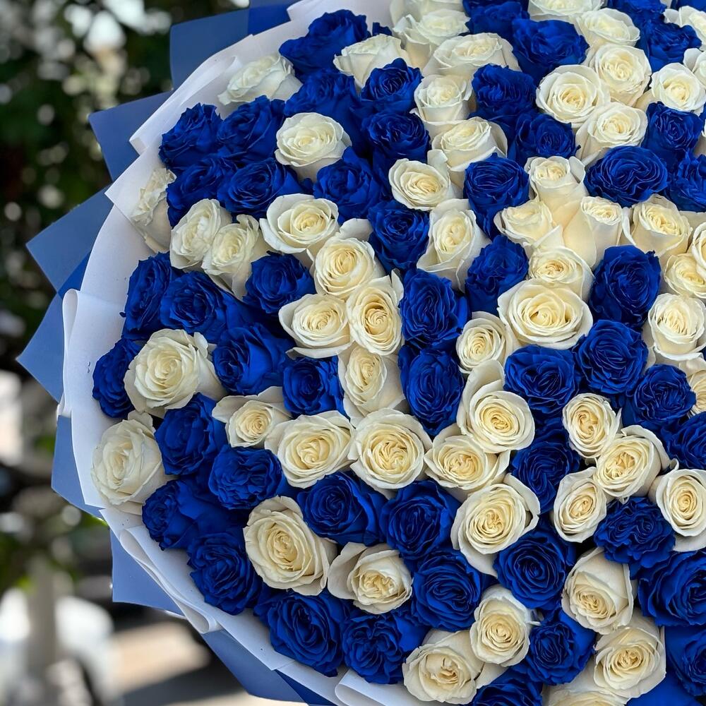 Букет из 151 синей и белой розы Эквадор