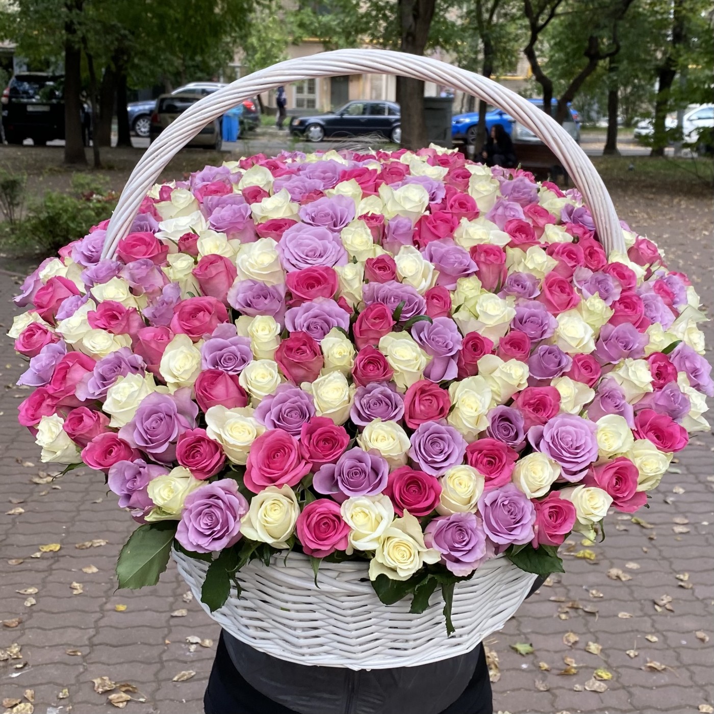 301 роза Нежный МИКС в корзине