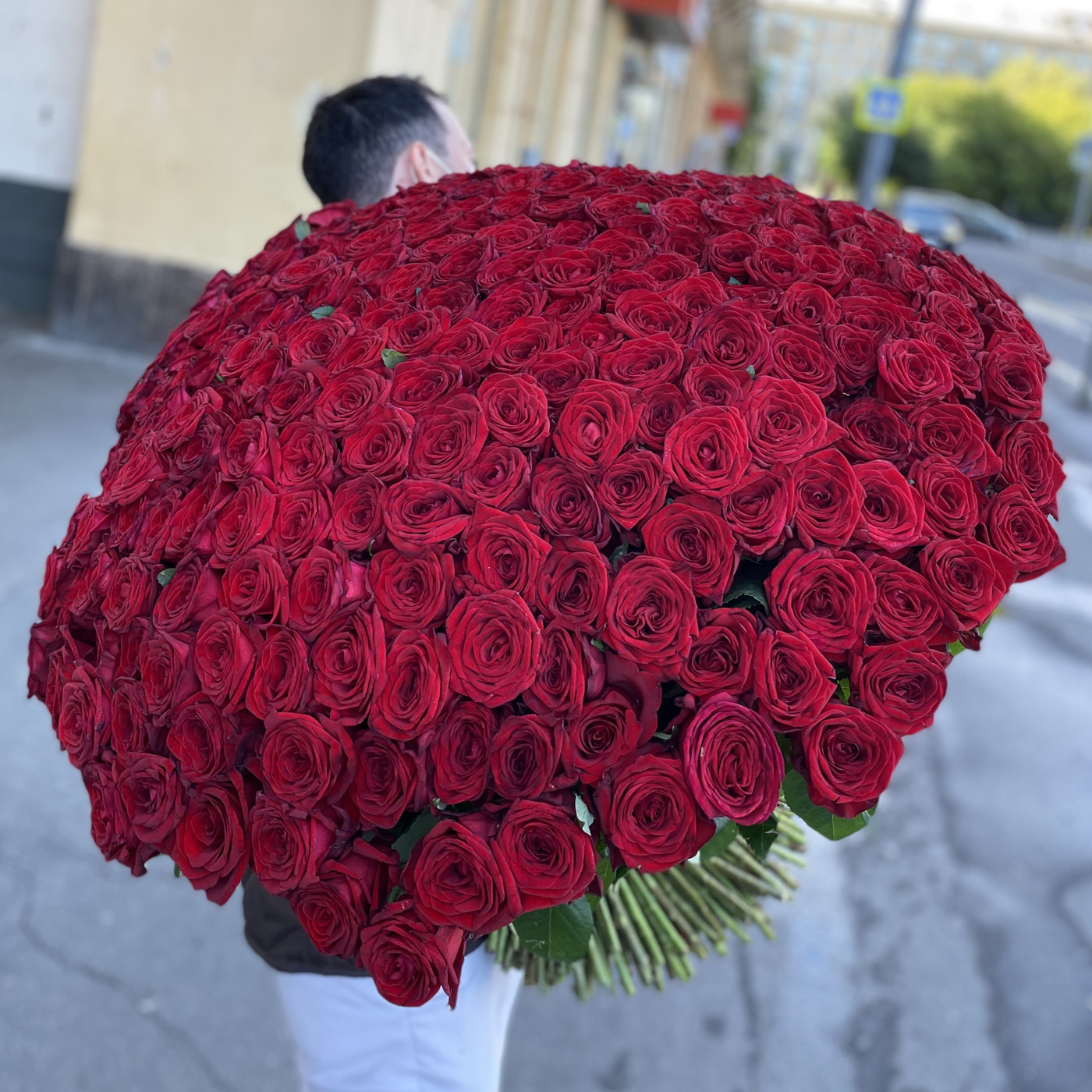 301 красная роза 60 см.