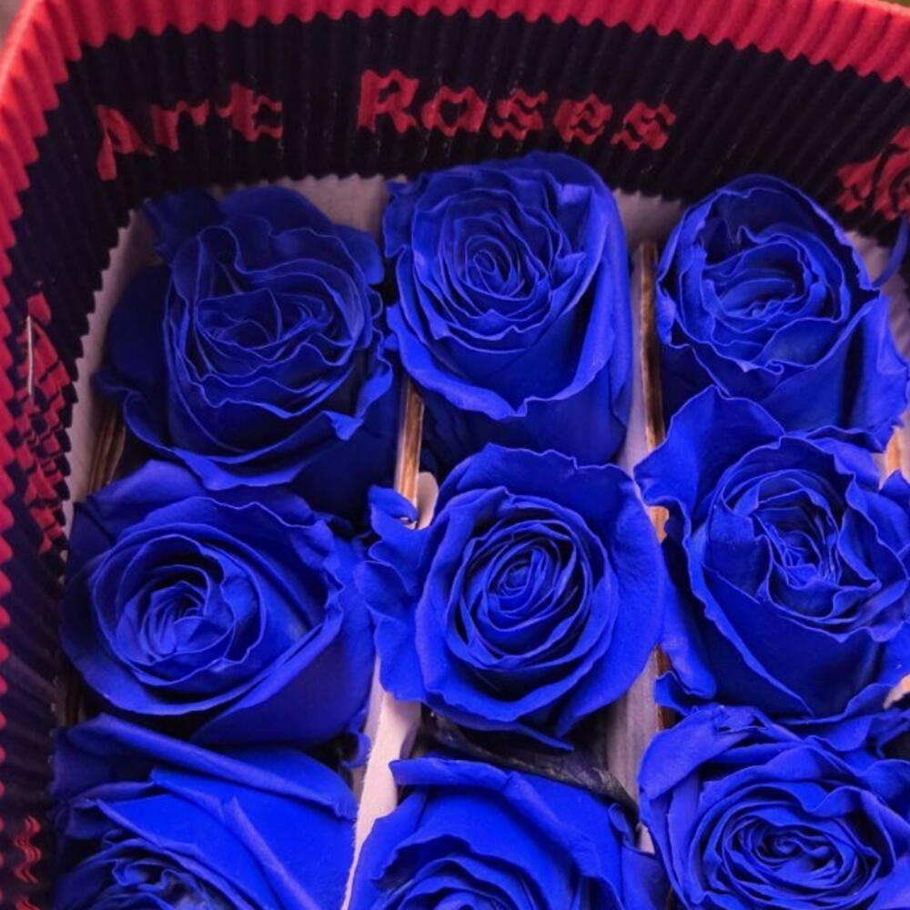 51 синяя роза Эквадор