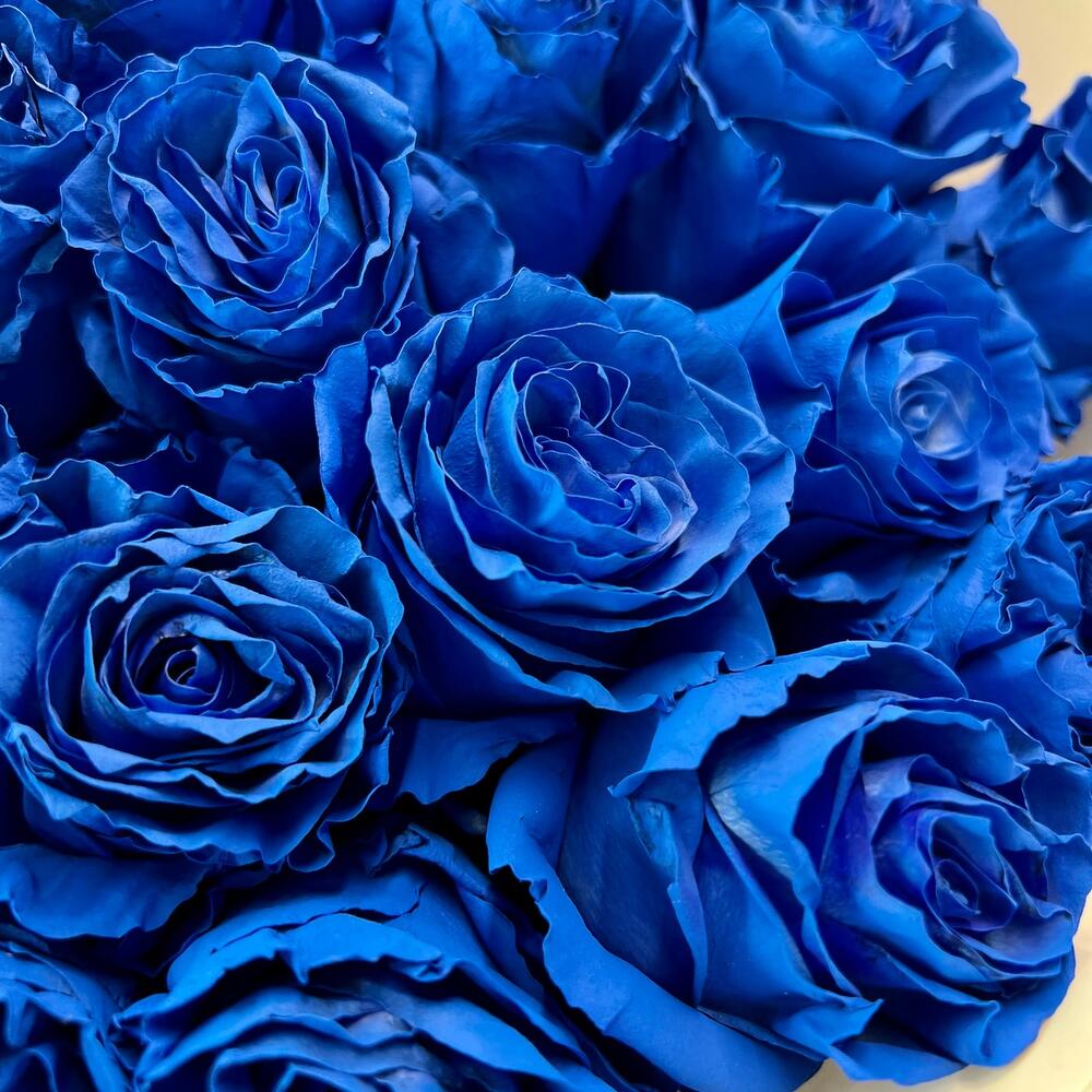 35 синих роз Эквадор