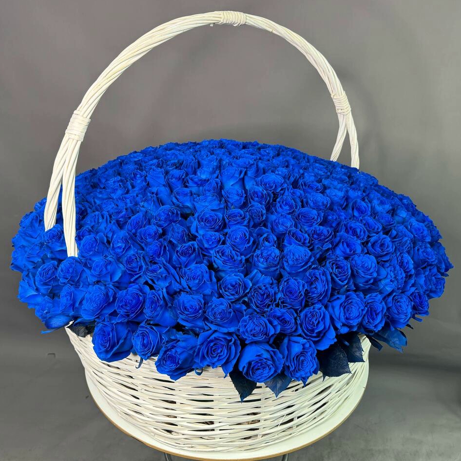 Корзина из 301 синей розы Эквадор