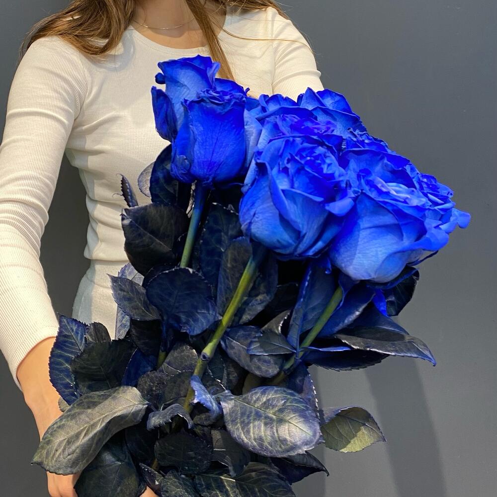 11 синих роз Эквадор