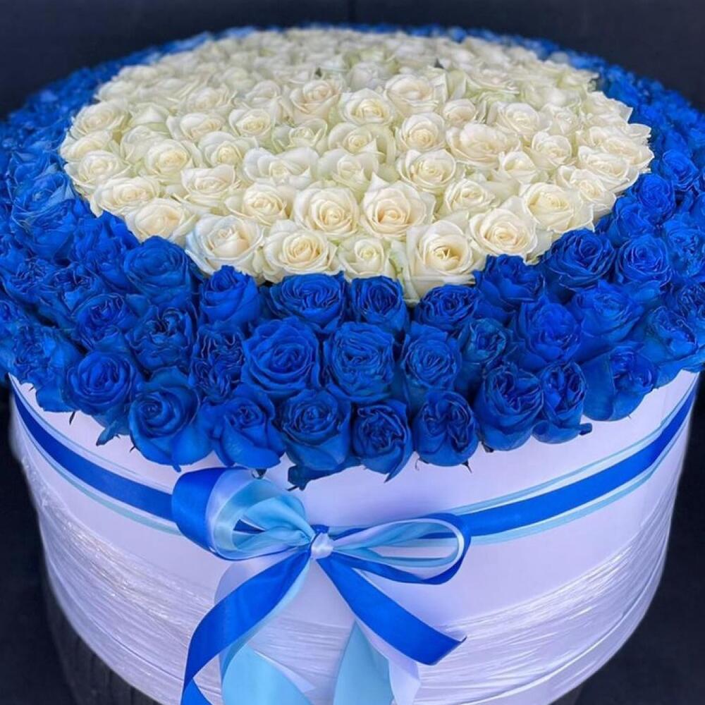 Букет из 201 синей и белой розы в коробке