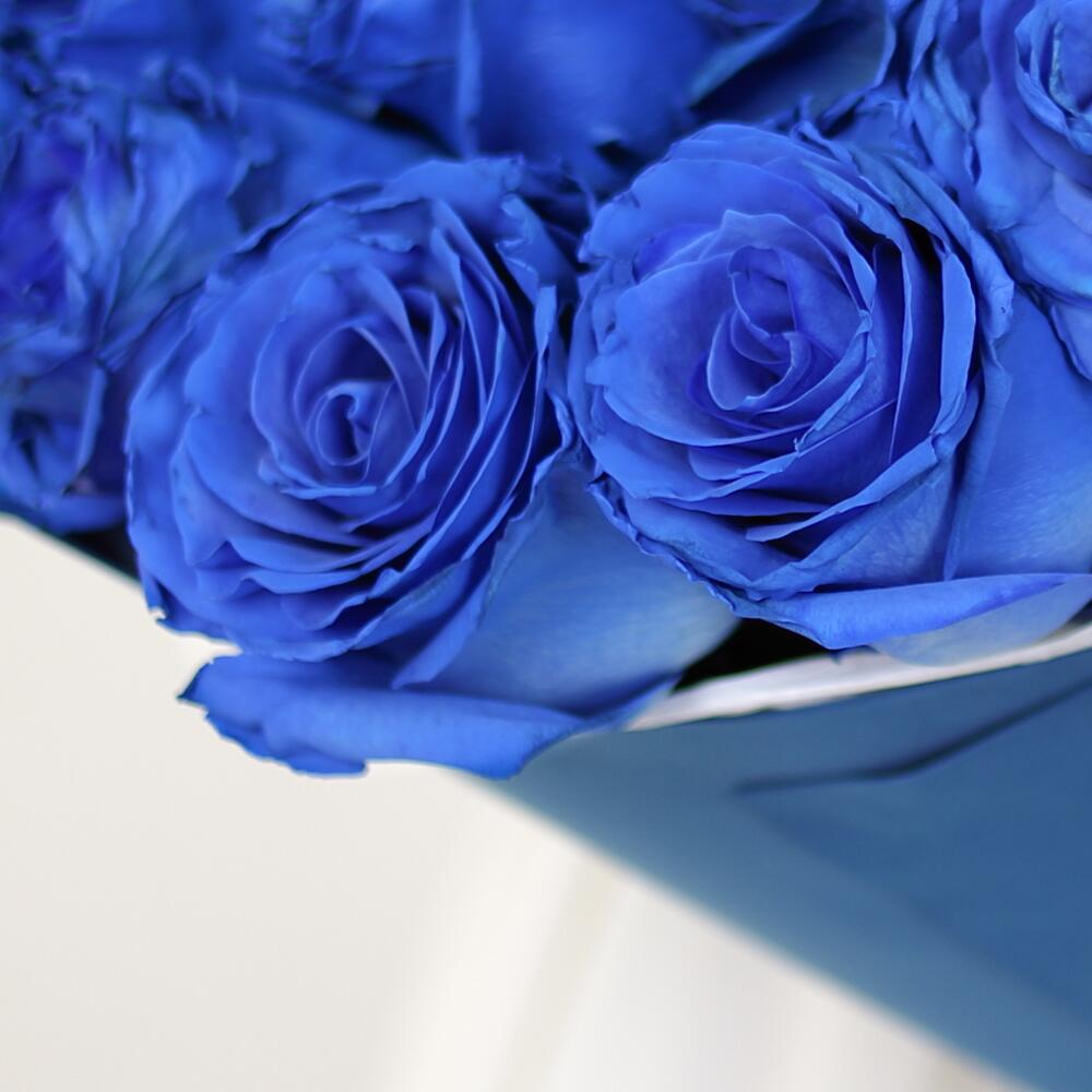 15 синих роз Премиум Эквадор