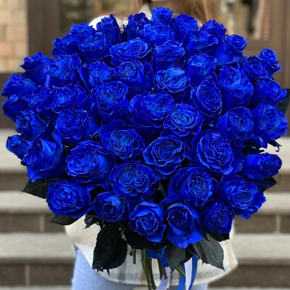 51 синяя роза Эквадор