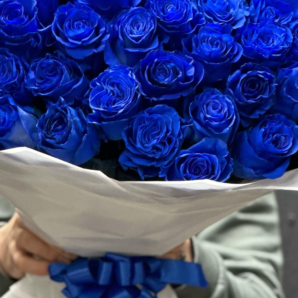 101 синяя роза Эквадор!