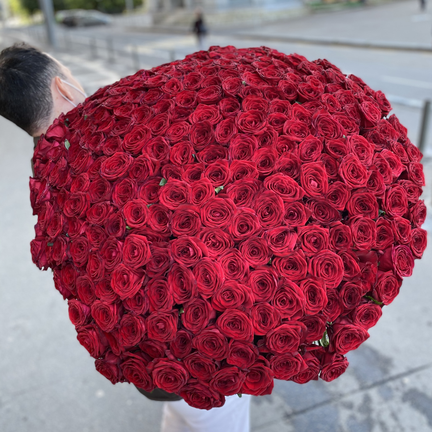 301 красная роза 60 см.