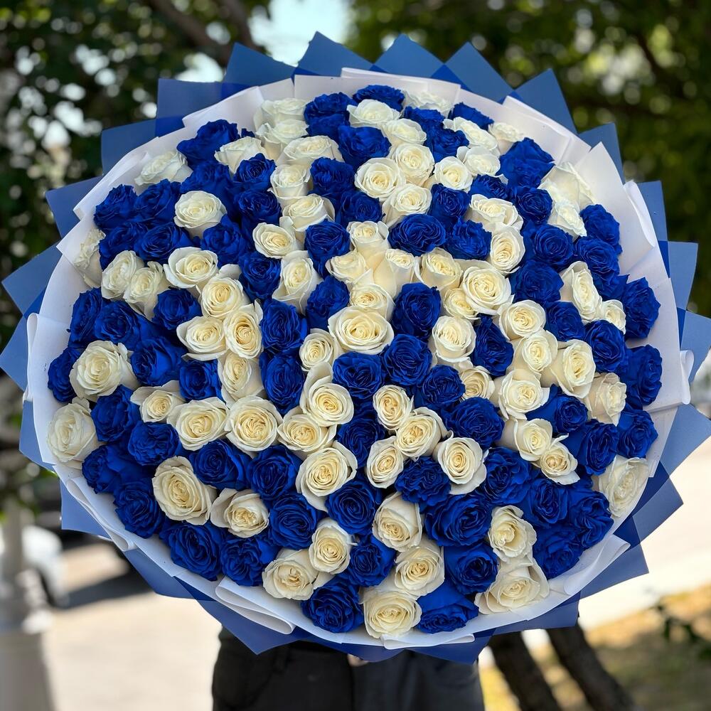 Букет из 151 синей и белой розы Эквадор